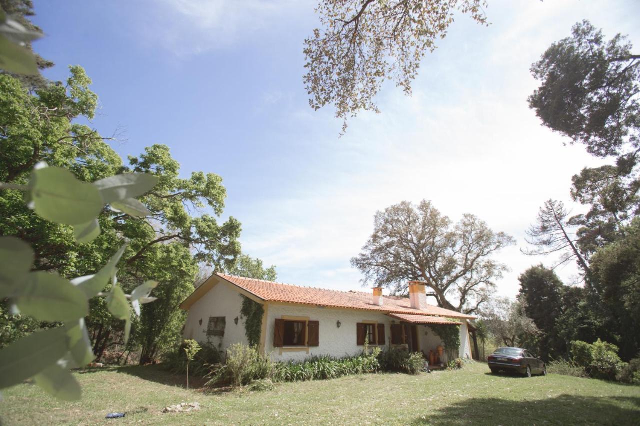 Quinta Do Vale Grande Villa Albergaria-a-Velha Exterior photo