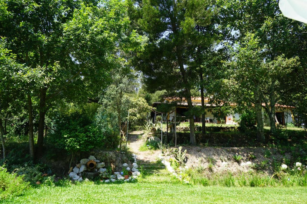 Quinta Do Vale Grande Villa Albergaria-a-Velha Exterior photo